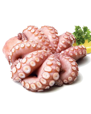 Octopus 1Kg